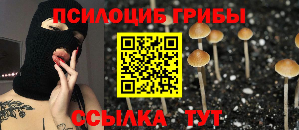 Галлюциногенные грибы Psilocybine cubensis  даркнет сайт  Карталы  Вход с VPN 